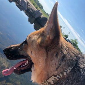 Meet your Posher, Jenna